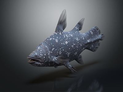 Modern Fish Morson's Fish Carnivorous Fish 3d model