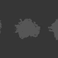Multiple Trees In Various Growth Stages With Foliage And Human Figures For Scale 3d model
