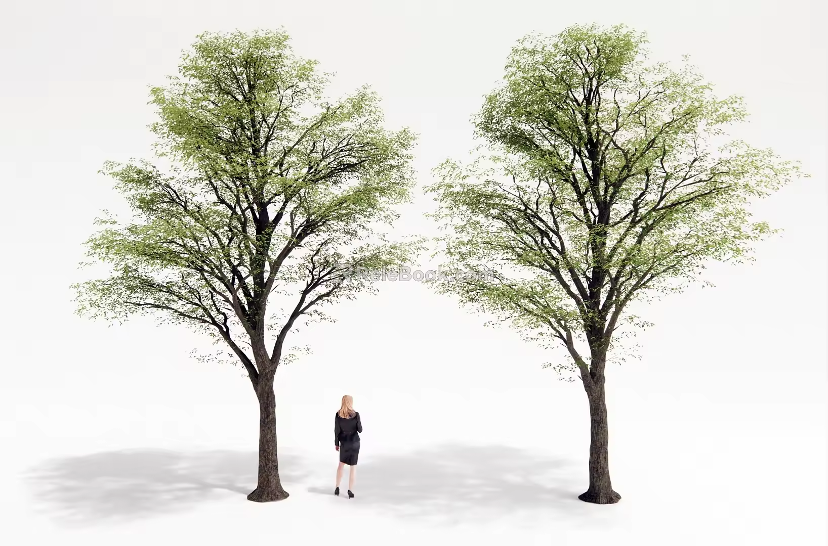 Landscape Trees Courtyard Landscape Trees Big Trees Landscape Trees 3d model