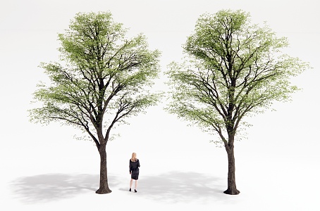 Landscape Trees Courtyard Landscape Trees Big Trees Landscape Trees 3d model