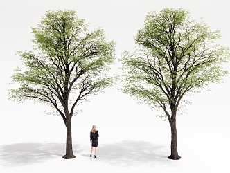 Landscape Trees Courtyard Landscape Trees Big Trees Landscape Trees 3d model