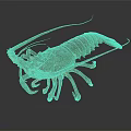 Detailed Colorful Lobster With Long Curved Antennae Large Claws And Segmented Legs On Dark Background