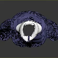 Stylish Blue Hooded Puffer Jacket With White Lining Puffy Warm Winter Design