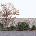 Garden Scene With Tree Orange Leaves Green Shrubs Agave And Purple Flowers By Stone Wall