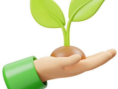 Tender Green Seedling With Vibrant Fresh Leaves Held In Gentle Human Hand 3d model