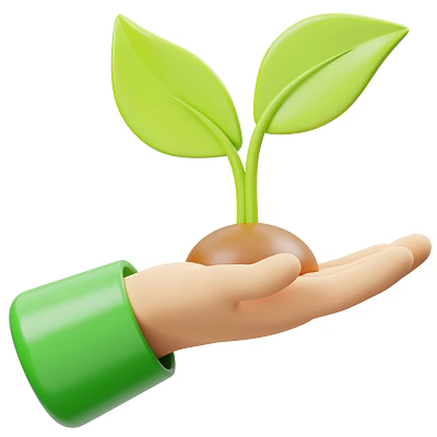 Tender Green Seedling With Vibrant Fresh Leaves Held In Gentle Human Hand 3d model