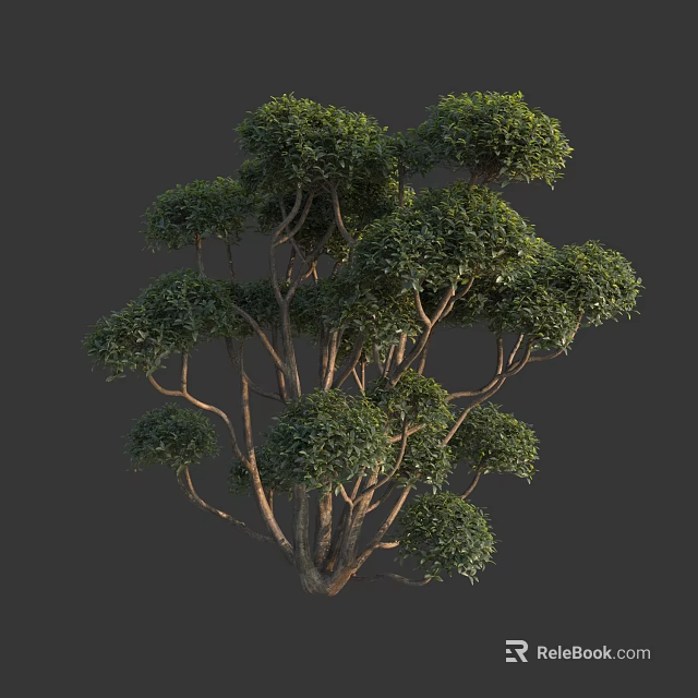 Lush Arbor with Dense Green Foliage Multiple Branches and Brown Trunk 3d model