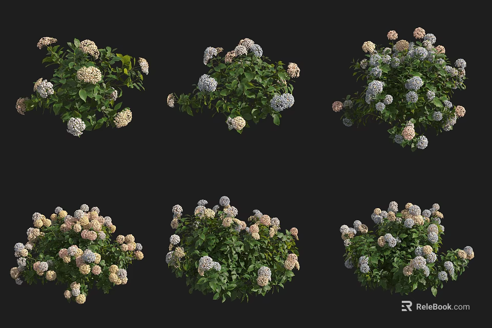 Lush Green Shrub With White And Pink Flowers For Garden Decoration 3d model 