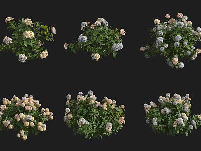 Lush Green Shrub With White And Pink Flowers For Garden Decoration 3d model