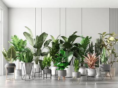 Various Indoor Potted Plants With Green Leaves And Stylish Decorative Pots 3d model