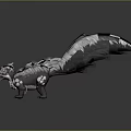 Realistic Skunk with Black and White Fur Fluffy Tail Standing Open Mouth