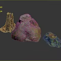 Natural Wood Stone Samples With Colorful Textures And Unique Organic Forms