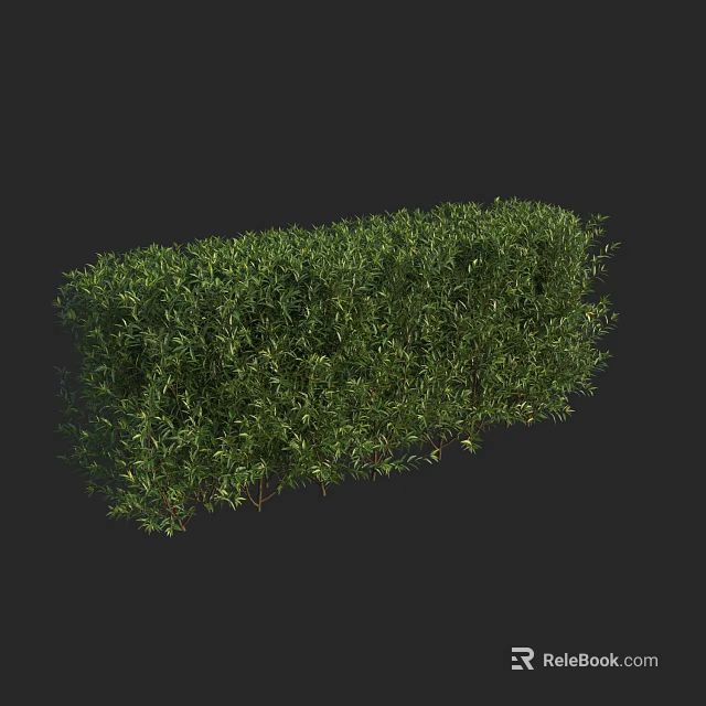 Vibrant Green Trimmed Hedge With Lush Dense Foliage And Neat Shape 3d model 
