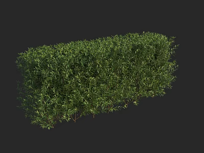 Vibrant Green Trimmed Hedge With Lush Dense Foliage And Neat Shape 3d model