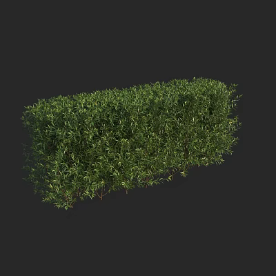 Vibrant Green Trimmed Hedge With Lush Dense Foliage And Neat Shape 3d model