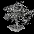 Lush Green Tree with Exposed Roots on Small Earthy Base against Black Background