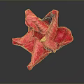 Vibrant Red Flower With Ruffled Petals On Dark Background And Shiny Reflection