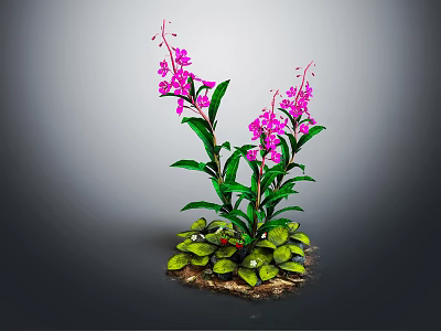 Vibrant Plant With Green Leaves Pink Flowers Small Leaves And Soil 3d model