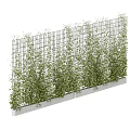 Lush Green Vines Growing On Metal Grid Fence With White Base