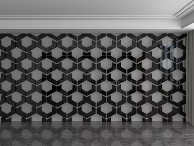 Stylish Modern Background Wall With Black And White Hexagonal Tile Pattern 3d model