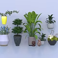 Varied Bonsai Potted Plants For Indoor Decor With Colorful Ceramic Pots And Lush Foliage