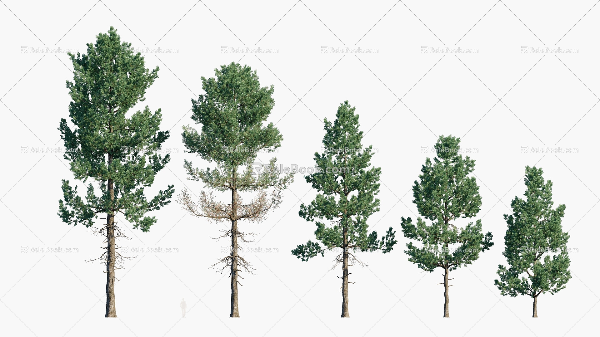 Plants Trees Big Trees Landscape Trees Arbor 3d model