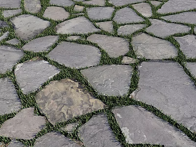 Natural Stone Path With Irregular Paving Stones And Green Grass 3d model