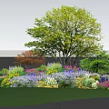 Colorful Flowering Shrubs in Lush Garden Landscape With Green Grass and Blue Sky