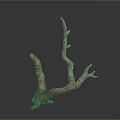 Natural Twisted Branch Sculpture With Textured Surface And Organic Shape