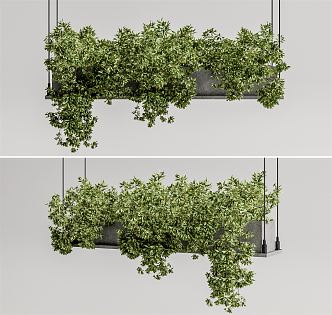 Modern hanging basket plant potted 3d model