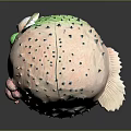 Cute Round Pufferfish With Green Back Spiky Texture Big Eyes And Pink Belly