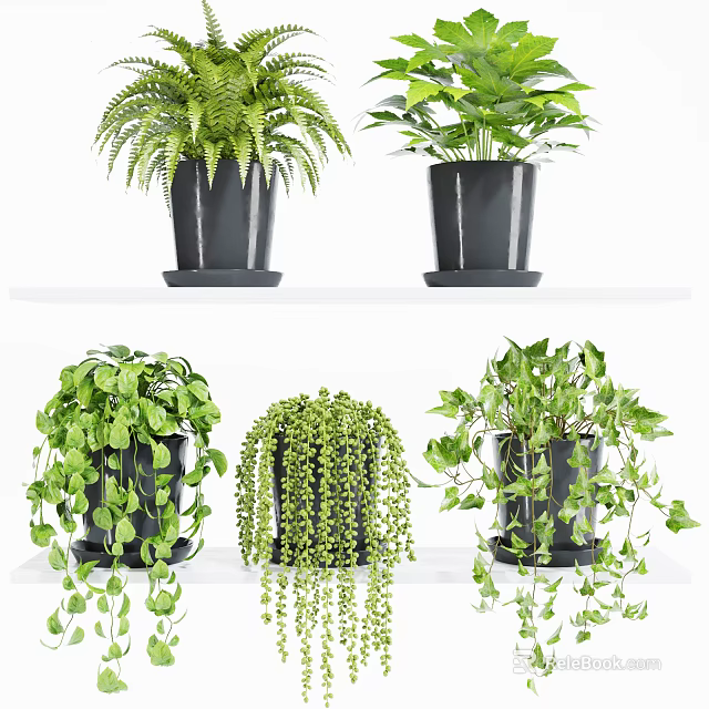 Bonsai Potted Plants With Various Greenery In Black Pots On Shelves 3d model 