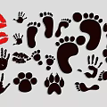 Creative Wall Decor With Various Handprints Footprints Lip Prints And Paw Prints 3d model