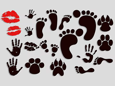 Modern Footprints Wall Decorations Animal Footprints Dog Footprints Poultry Footprints Shoeprints 3d model