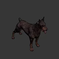 Low Poly Doberman 3D Model In Standing Pose With Tongue Out