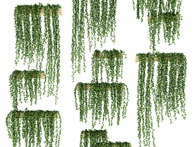 modern plant wall green plant wall plant ivy creeper wall plant 3d model
