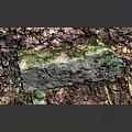 Natural Wood and Stone Decorative Piece With Mossy Surface and Earthy Textures