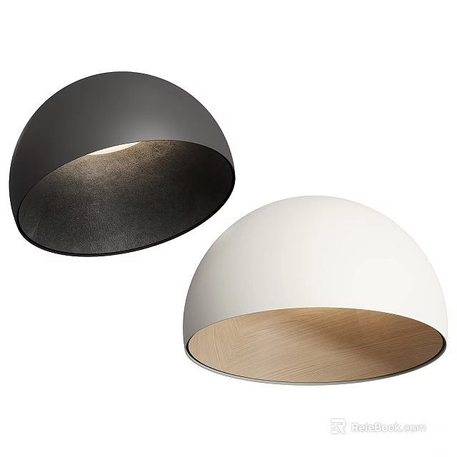 Modern Black and White Ceiling Lights with Minimalist Matte Finish for Home Interior 3d model 