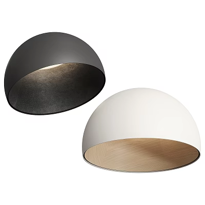 Modern Black and White Ceiling Lights with Minimalist Matte Finish for Home Interior 3d model