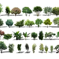 Diverse Arbor Trees Displaying Multicolored Leaves And Varied Canopy Shapes 3d model