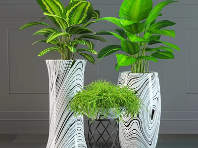Modern Indoor Bonsai Plants With Decorative White Black Vases And Small Table 3d model