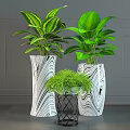 Modern Indoor Bonsai Plants With Decorative White Black Vases And Small Table