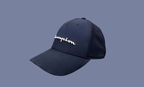 Modern hat 3d model