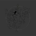 Dry Leafless Tree with Slender Trunk and Fibrous Roots on White Background