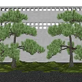 Pine Trees in Garden With Gray Wall Lattice Design Green Lawn and Gravel Ground