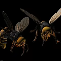 Detailed Realistic Wasps as Flying Animals with Yellow Black Stripes and Transparent Wings