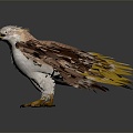 Modern Eagle Carving 3d model