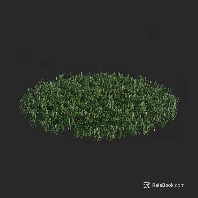 Lush Green Circular Grass Patch With Vibrant Blades On Black Background 3d model