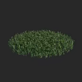 Lush Green Circular Grass Patch With Vibrant Blades On Black Background 3d model