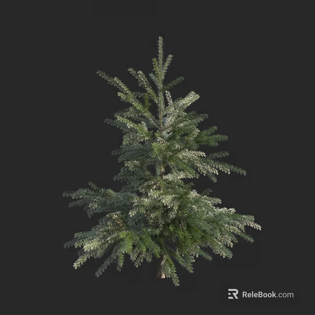 Evergreen Pine Tree With Dense Foliage And Lush Green Branches 3d model